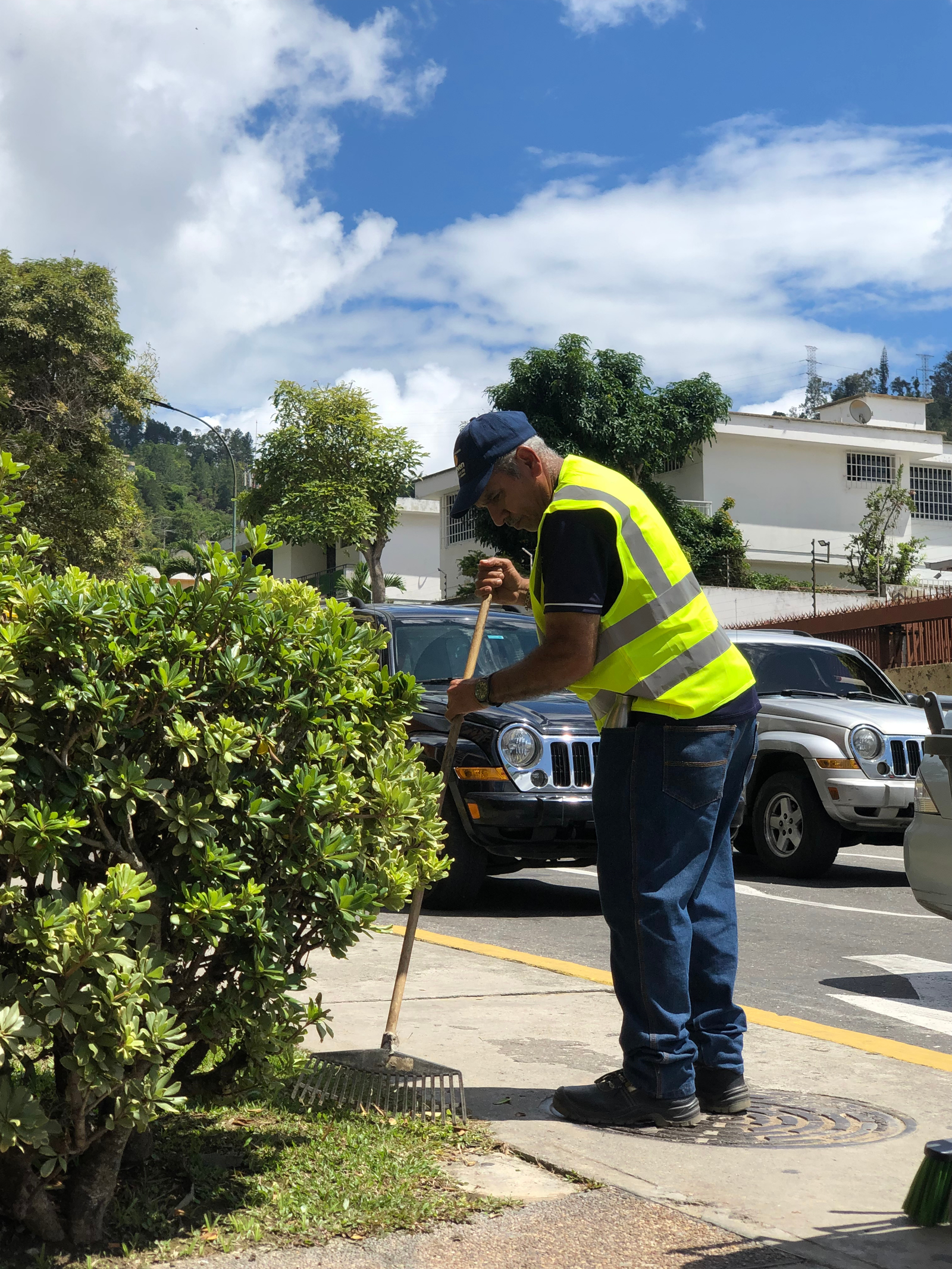 Mantenimiento de áreas verdes y jardines